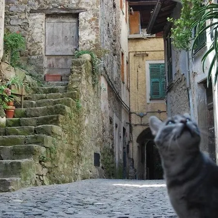 アパート House In The Rock *