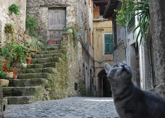 Appartement House In The Rock *